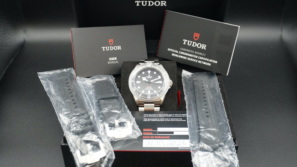 2025 Tudor Pelagos 39 25407N-0001 39mm