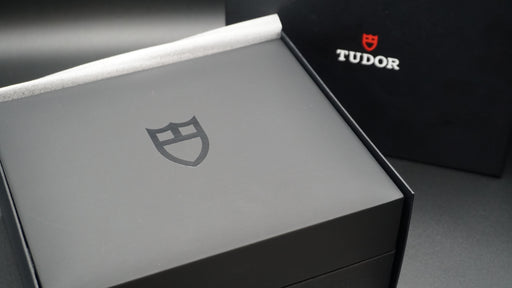 2025 Tudor Pelagos 39 25407N-0001 39mm