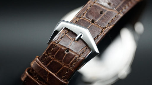 2026 Patek Philippe Calatrava 6196P-001 38mm