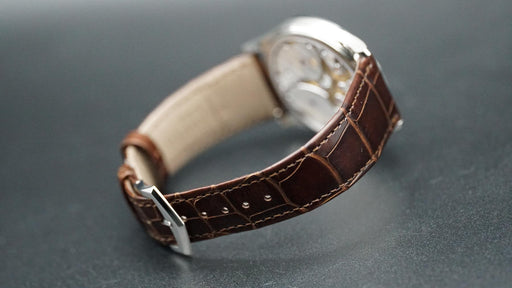 2026 Patek Philippe Calatrava 6196P-001 38mm